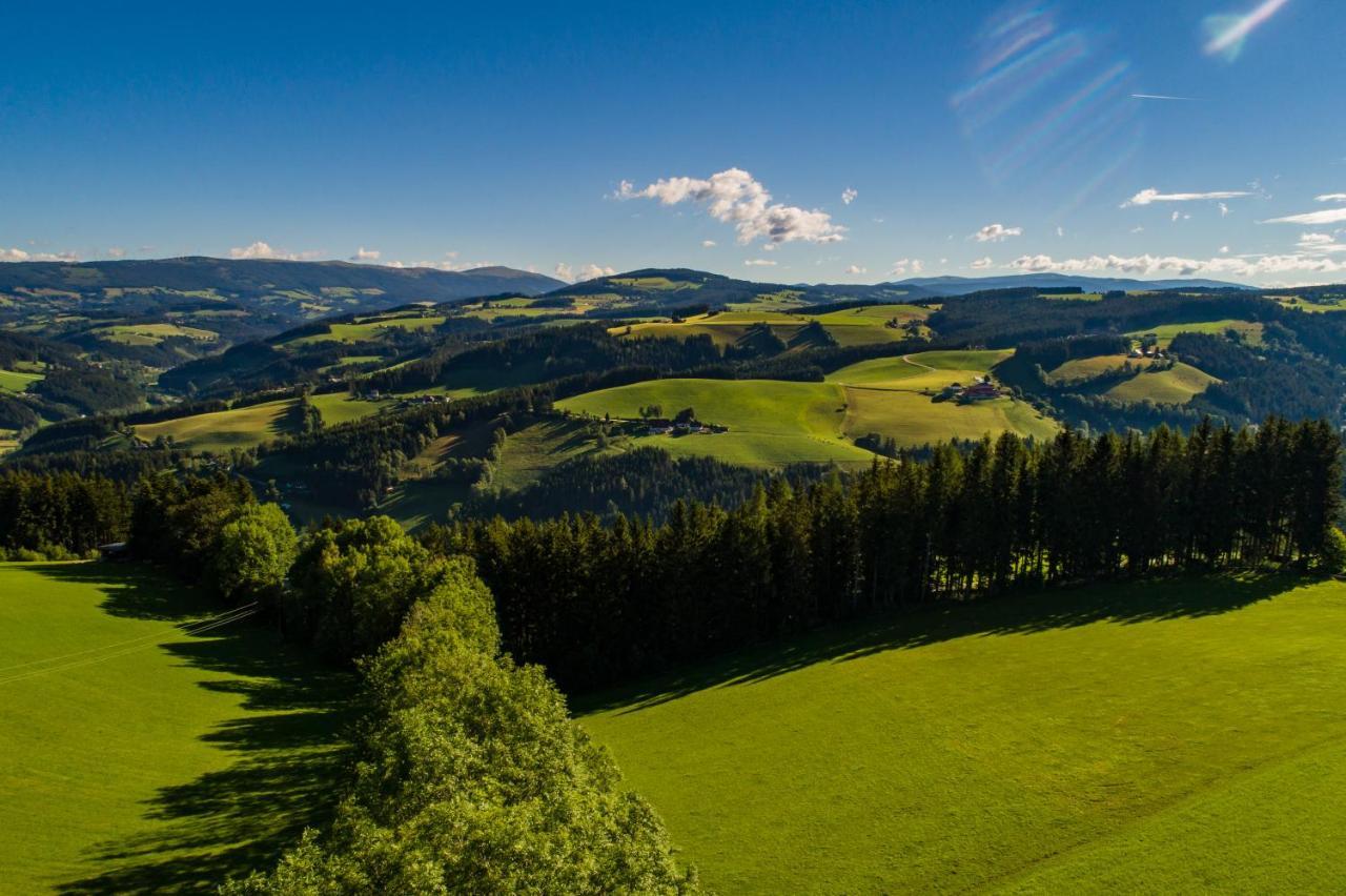 Der Almblick Hotel Strallegg Buitenkant foto