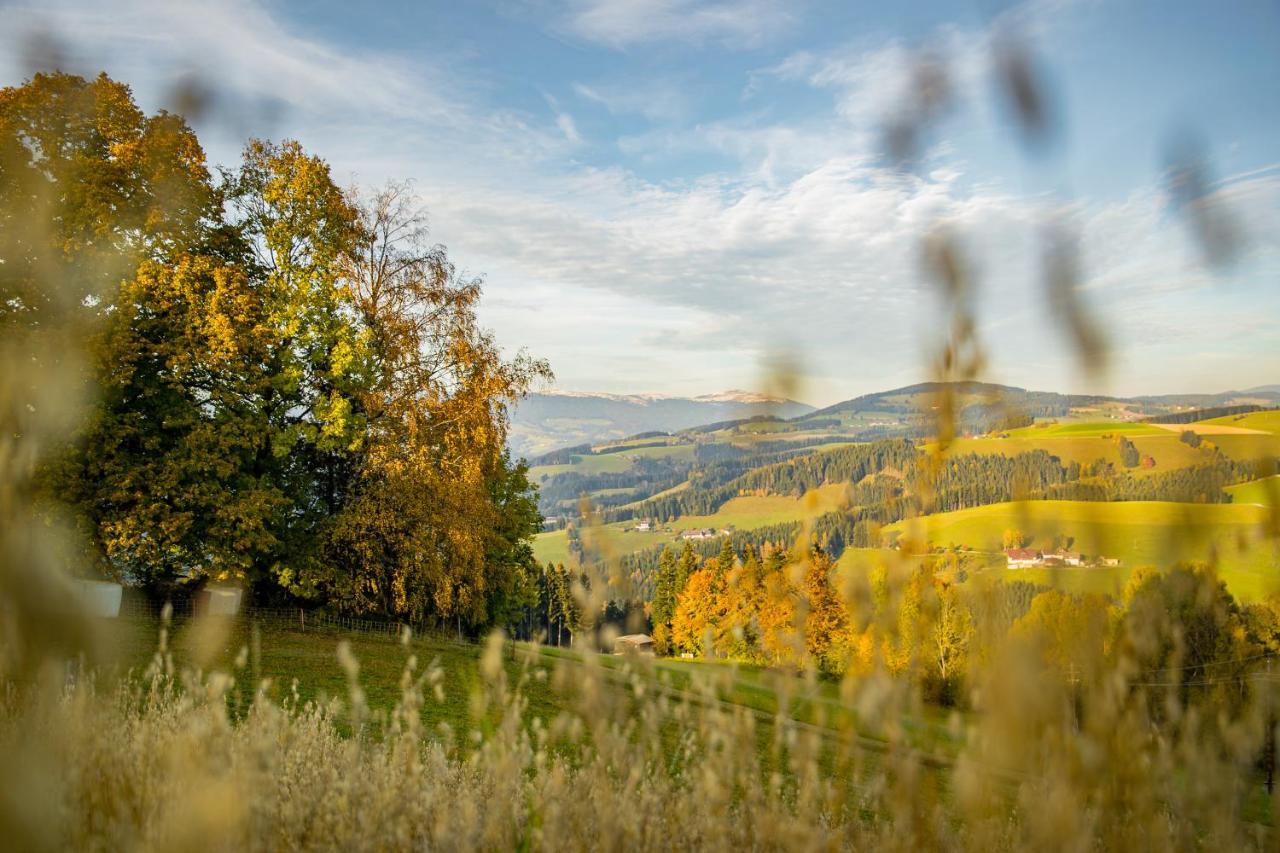 Der Almblick Hotel Strallegg Buitenkant foto