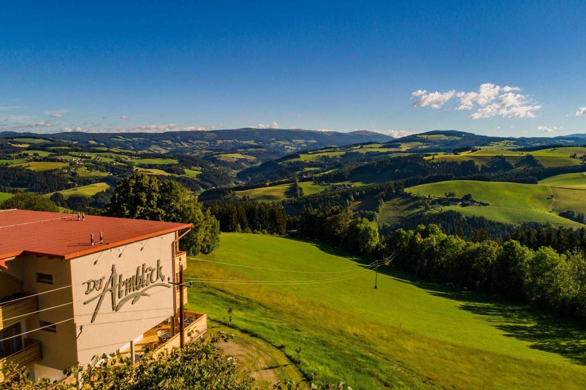 Der Almblick Hotel Strallegg Buitenkant foto