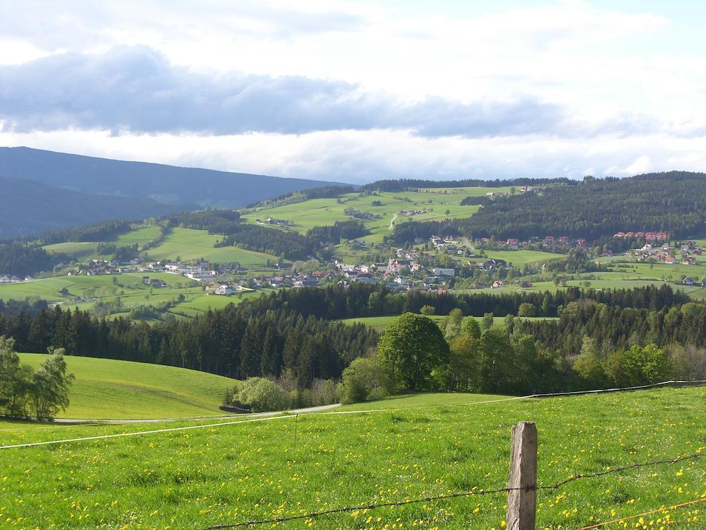 Der Almblick Hotel Strallegg Buitenkant foto