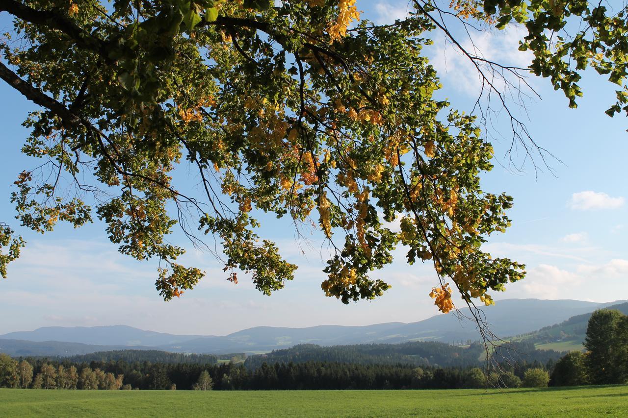 Der Almblick Hotel Strallegg Buitenkant foto